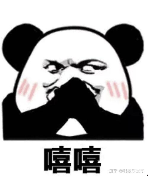 迷妹表情包表情包,捕捉粉丝瞬间，笑翻你的心